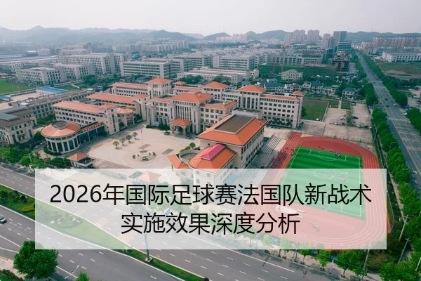 2026年国际足球赛法国队新战术实施效果深度分析
