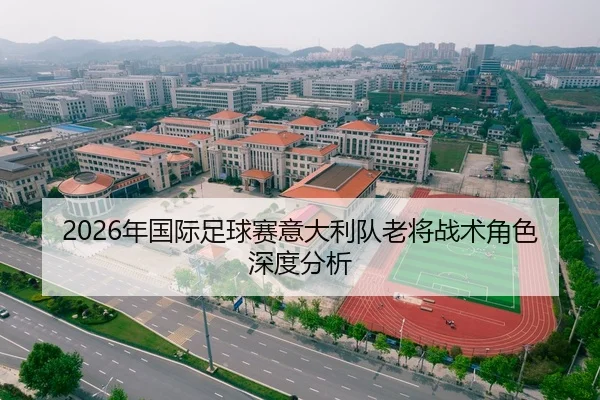 2026年国际足球赛意大利队老将战术角色深度分析